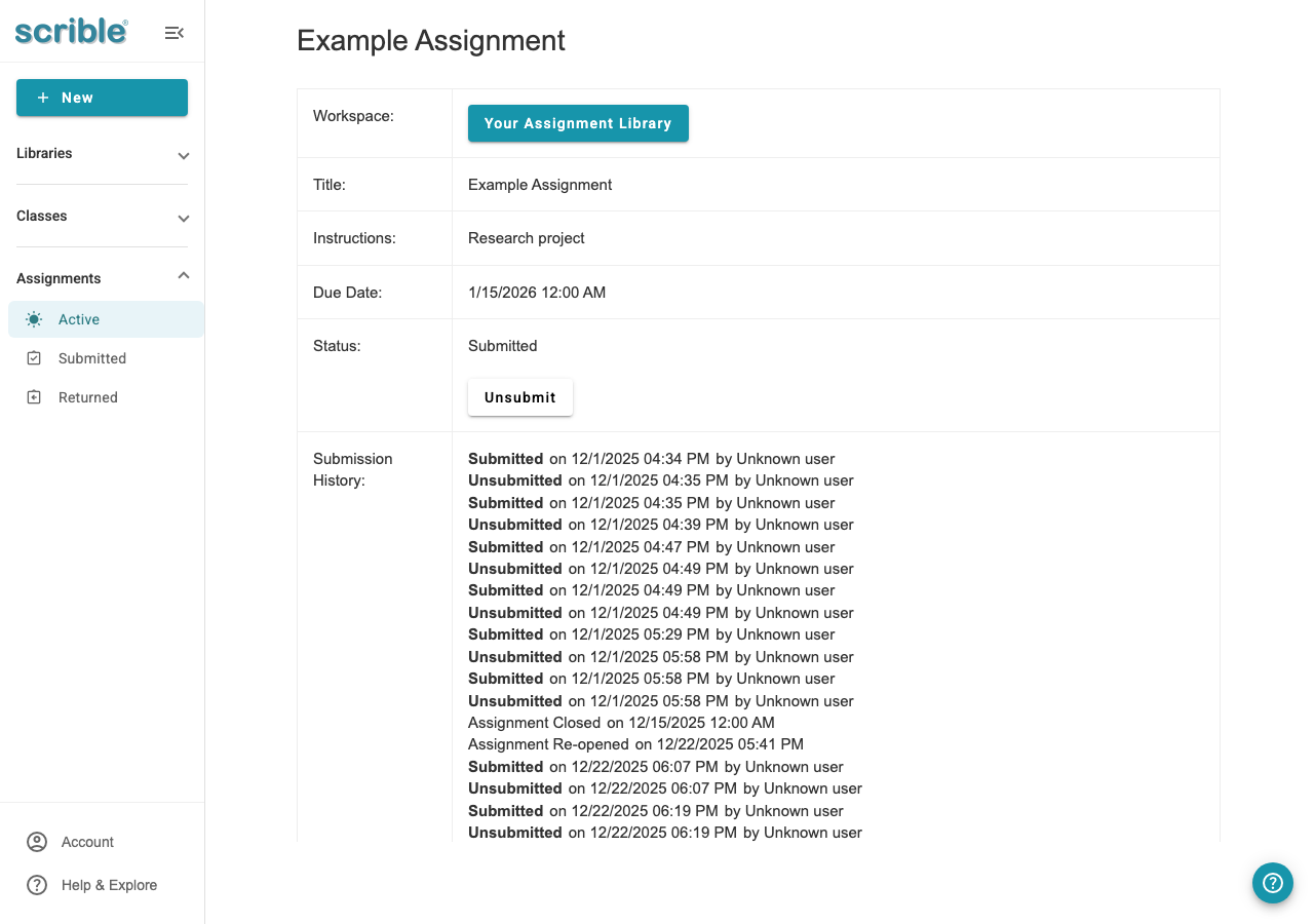 IMAGE 04: Assignment Overview showing submitted status with Unsubmit button and Submission History