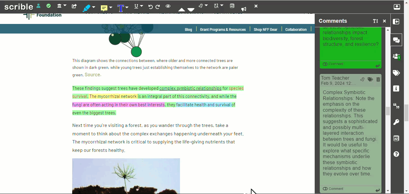 IMAGE 10: Tagging a comment