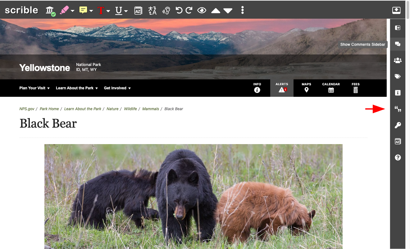 IMAGE 01: Reader view showing the Citation button in the right toolbar