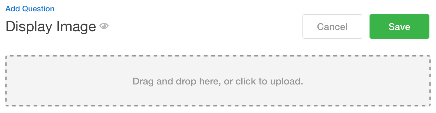 Display Image in Survey